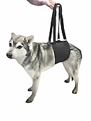 Agon® Canine Support Dog Carrier Sling [DS006Y]