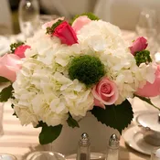 200 Roses and 15 to 20 Hydrangeas DIY Wedding Flower Kit