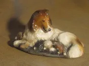Collie, “Annie” with Puppies”