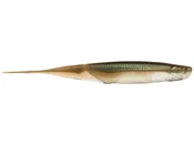 6th Sense Freshwater Shindo Shad