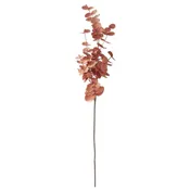 35" Orange Eucalyptus Stem