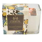 Bergamot and Oakmoss Soy Lotion Candle  | Fresh Spring Scent