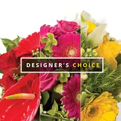 Designer’s Choice $200.00