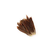 10 PC/PKG Golden Pheasant Tails Natural 8-10" - Natural
