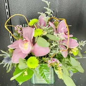 Orchid Symphony