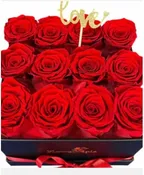 12 PRESERVED RED ROSES
