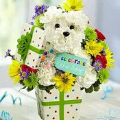 Birthday BR-A008