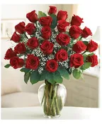 2 DOZEN ROSES IN VASE
