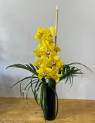 Okika