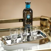 Aperitivo Shot Glass