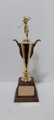 Championship Golf Trophy
