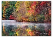 Colorful Tapestry, Walden Pond – notecard