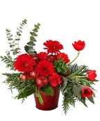 DELIGHTFUL RED DREAM