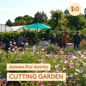 Autumn Festival Cutting Garden - Bud Vase October 3, 11A-3p
