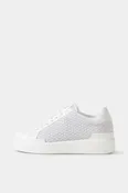 Sneaker Hollywood