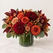 Autumn Ember