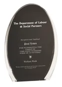 Black Acrylic Award with Clear Accent 177