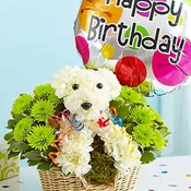 Birthday BR-A023