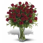 3 Dozen Roses