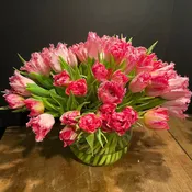 100 Tulips - Subscription
