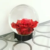 Flower Aquarium — Achla Designs Products | Unique Home & Garden Décor, Tools & Accessories —  Achla Designs  |  Minuteman International