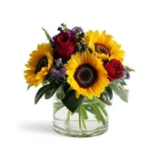 Sunfire Celebration