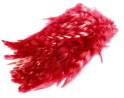 BARRED STRUNG NECK HACKLE. RED