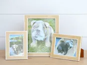 abaca white trim picture frame collection