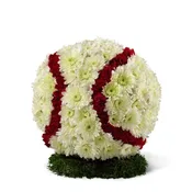 Baseball Tribute