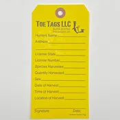 General Game Tag
