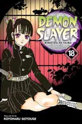 Demon Slayer: Kimetsu no Yaiba Vol. 18 – Official Manga | Tanjiro’s Struggle Intensifies — Ray Gun Comics