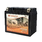12 Volts DC Battery