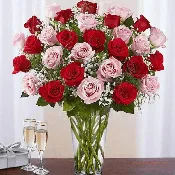 3 Dozen Pink & Red Rose Vase