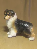 Australian Shepherd