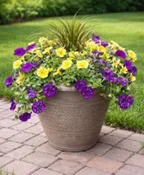 18" ANNUAL PATIO POT