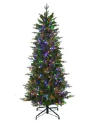 Alberta Slim Spruce 6.5'