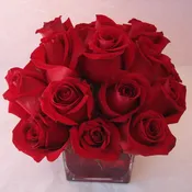 18 Red Roses - W616