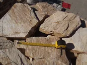 Cherry Log