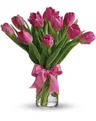 Precious Pink Tulips