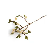 Apple Branch