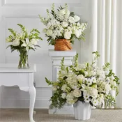 Sincerest Condolences Bundles (Set of 3)