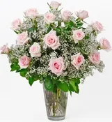 24 PINK ROSES