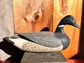 Raised Wing Brant