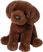 Douglas Zoom Chocolate Lab