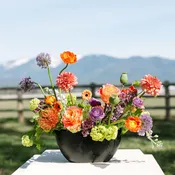 Superbloom