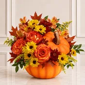 Autumn Pumpkin Harvest