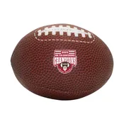 Indiana Football Big Ten Champions Plush Football