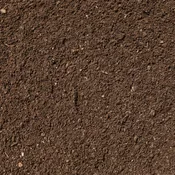 Top Soil (Screened)