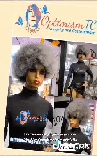 Chayne $59 Gray Afro wigs | OptimismIC Wigs and Gifts