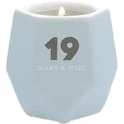 19 8 oz - 100% Soy Wax Candle Scent: Tranquility